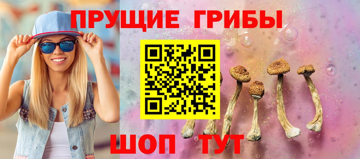 Галлюциногенные грибы MAGIC MUSHROOMS Новокуйбышевск