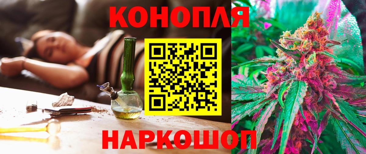 Бошки марихуана конопля Новокуйбышевск